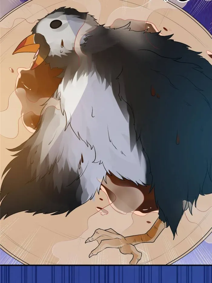 Page 41 of Chapter 246