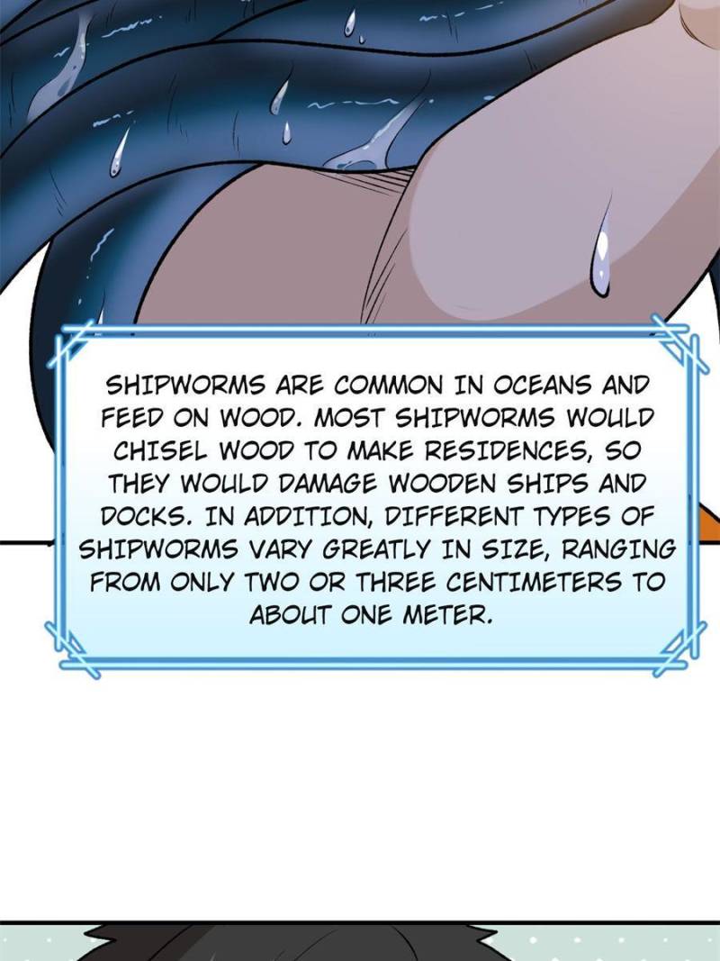 Page 5 of Chapter 262