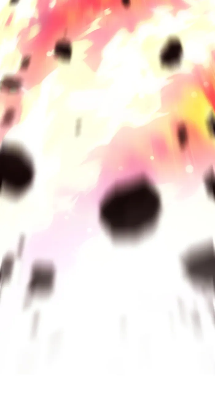 Page 13 of Chapter 66