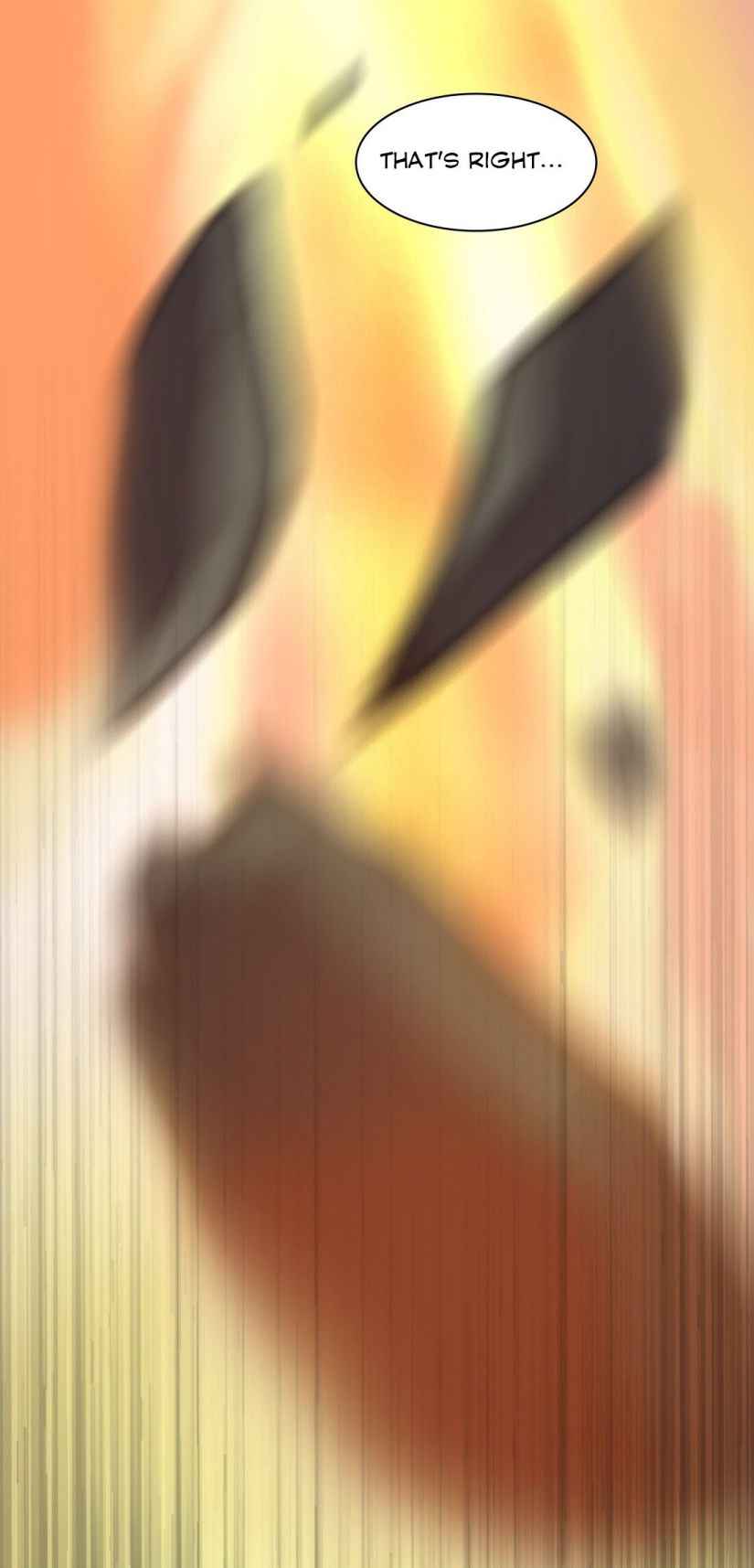 Page 13 of Chapter 0