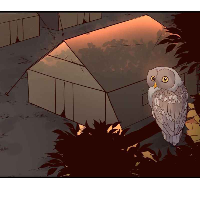 Page 19 of Chapter 36