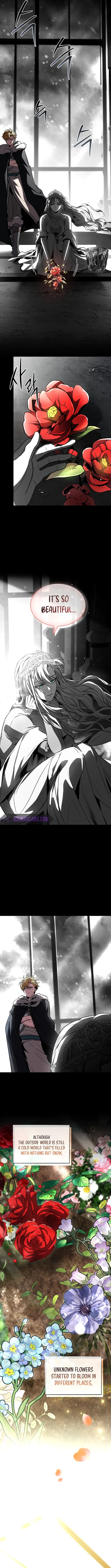 Page 3 of Chapter 81
