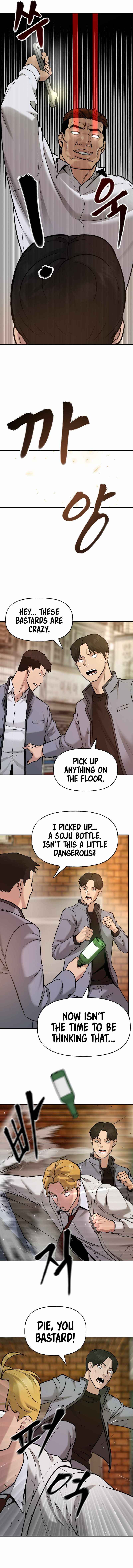 Page 13 of Chapter 17