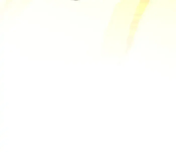 Page 29 of Chapter 44