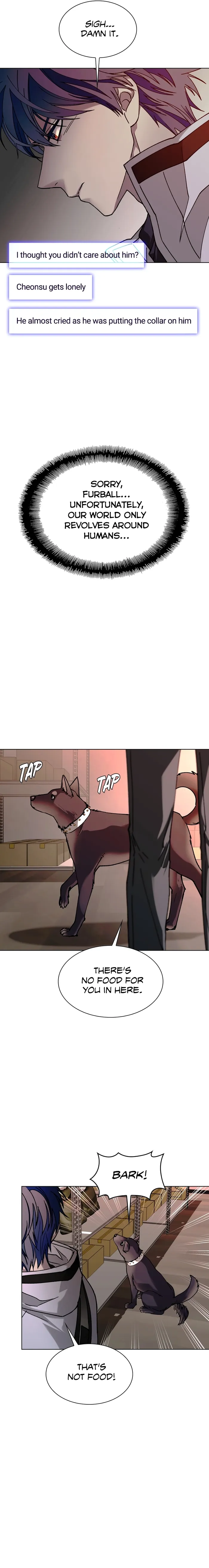 Page 17 of Chapter 53