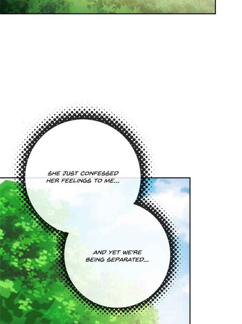 Page 20 of Chapter 19
