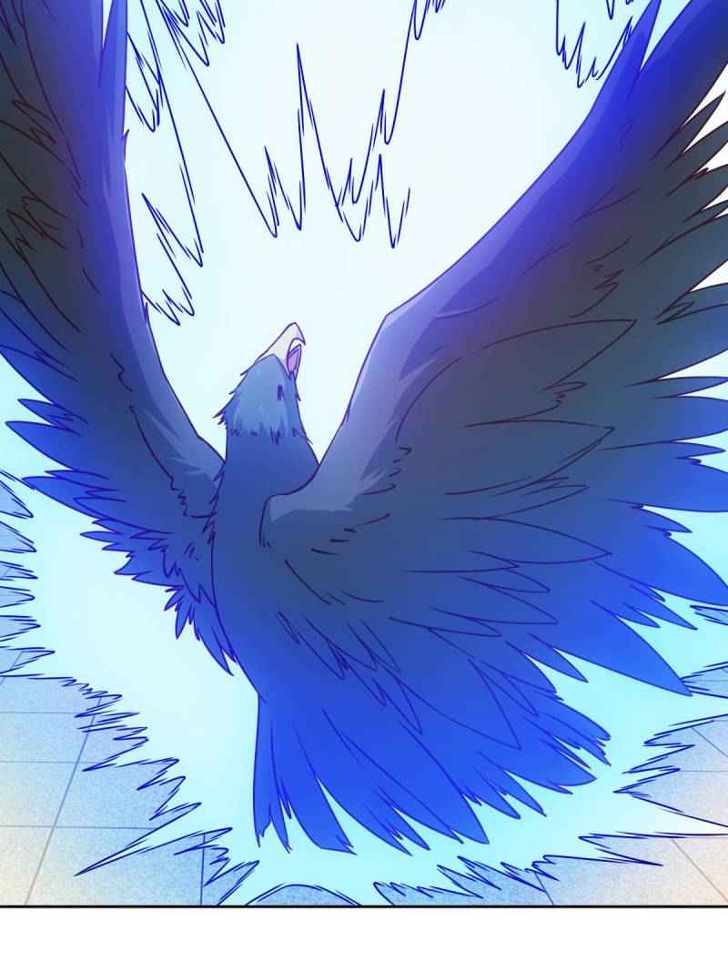 Page 55 of Chapter 33