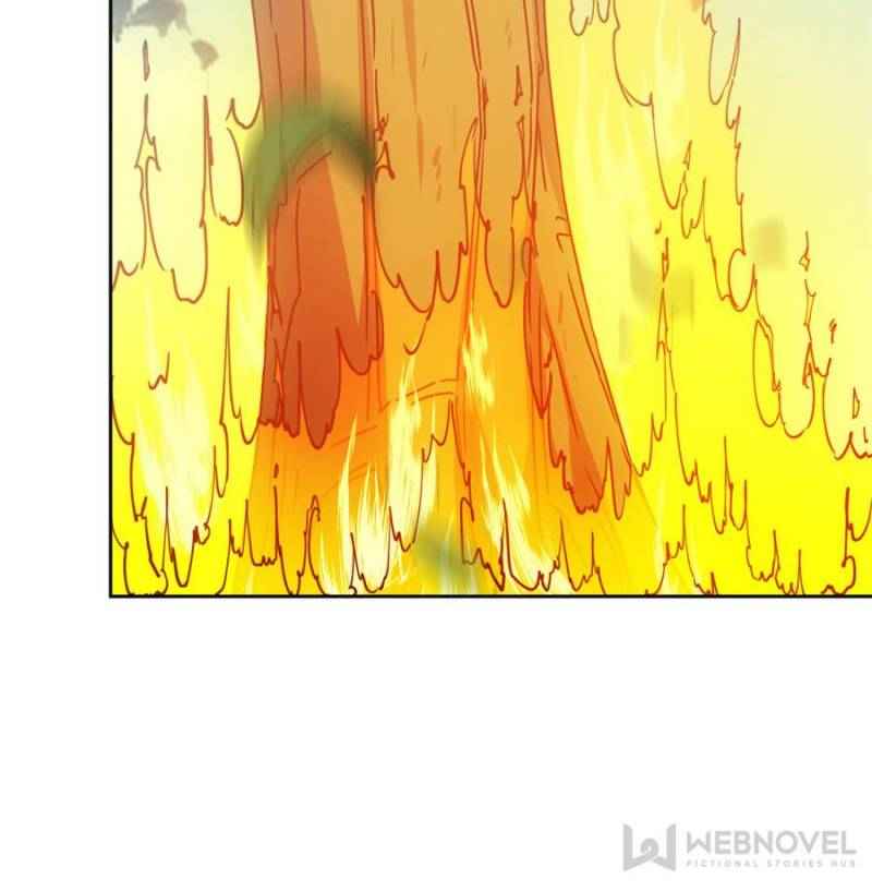 Page 24 of Chapter 51