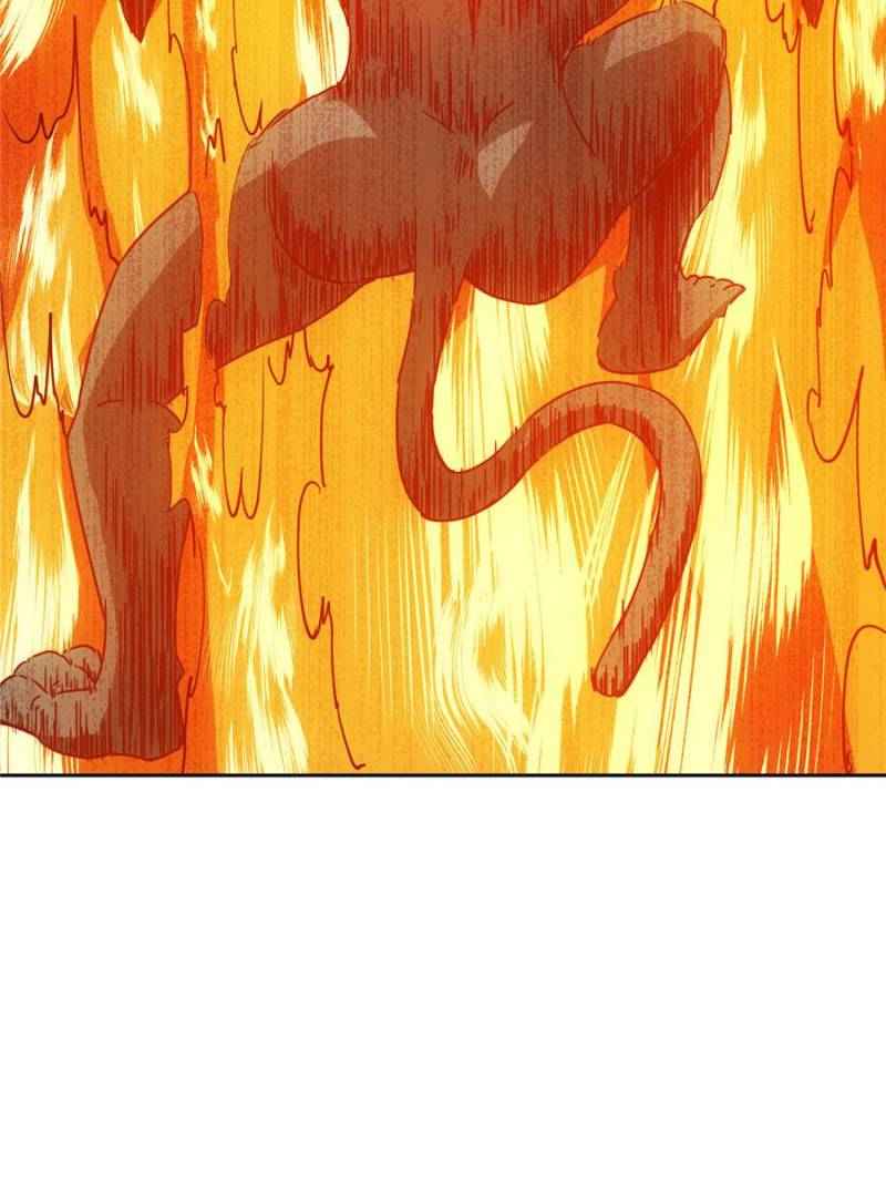 Page 47 of Chapter 51