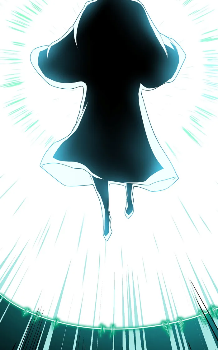 Page 10 of Chapter 215