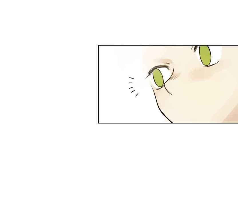 Page 15 of Chapter 12