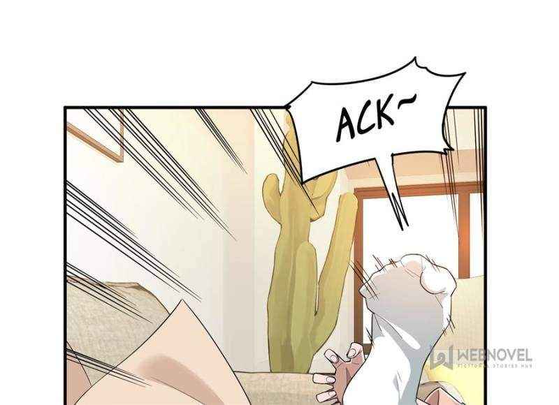 Page 3 of Chapter 25