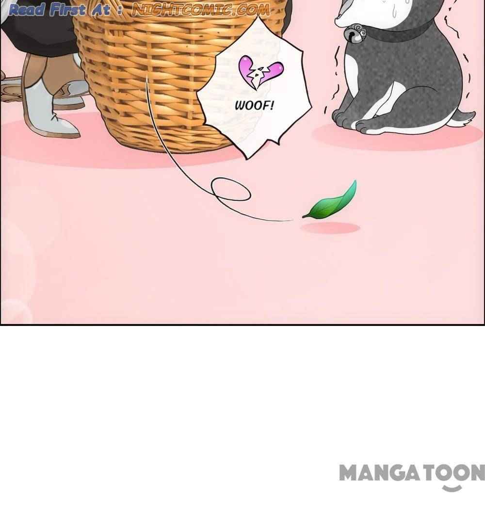 Page 27 of Chapter 137