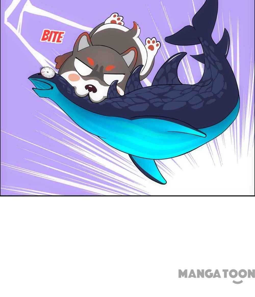 Page 33 of Chapter 138