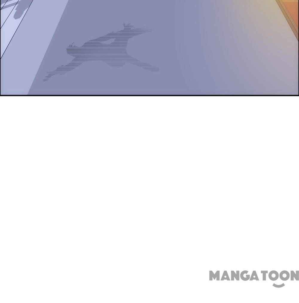 Page 42 of Chapter 224