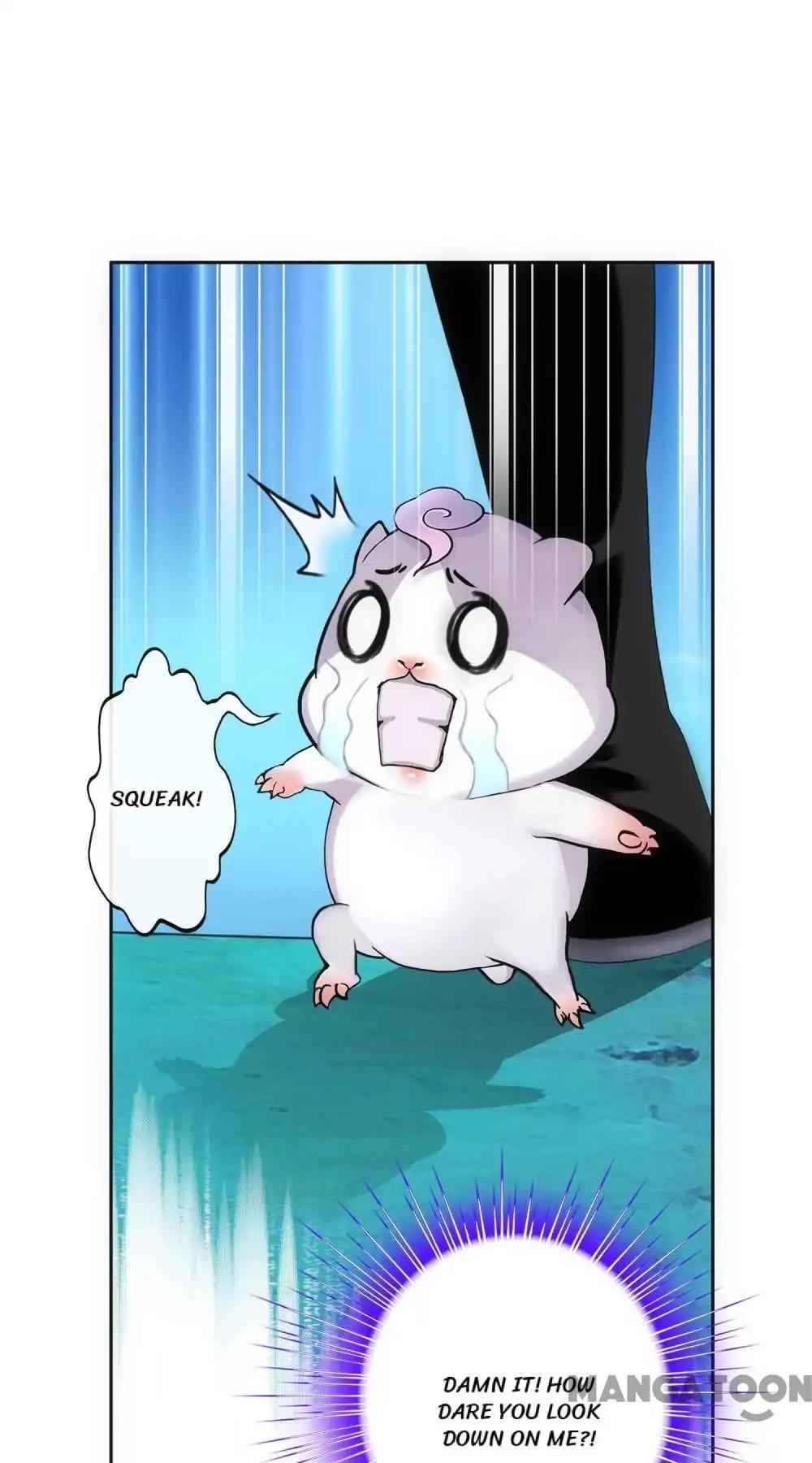 Page 5 of Chapter 97