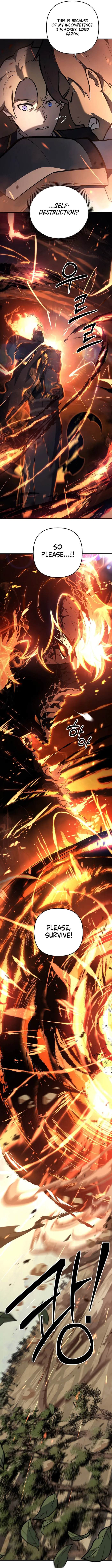Page 13 of Chapter 17