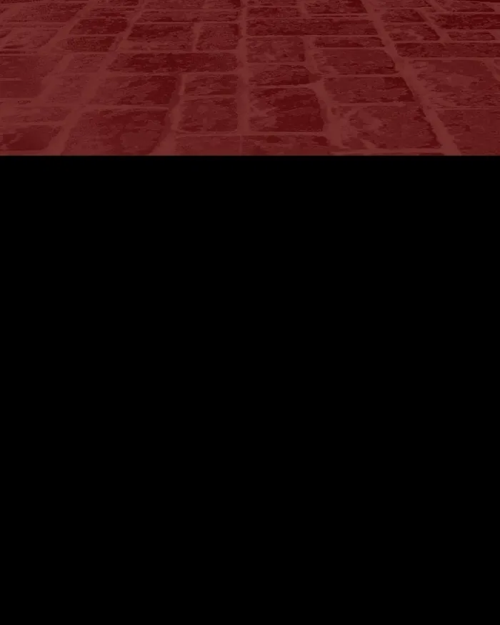 Page 199 of Chapter 46