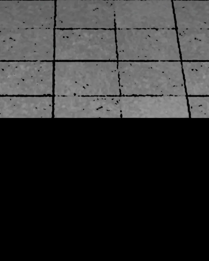 Page 66 of Chapter 56