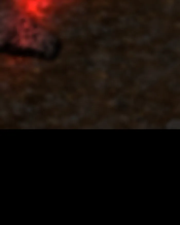 Page 43 of Chapter 63