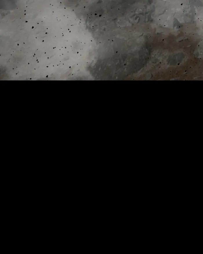 Page 47 of Chapter 66