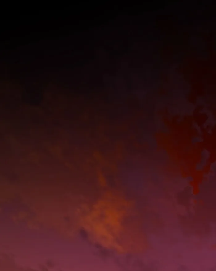 Page 92 of Chapter 66