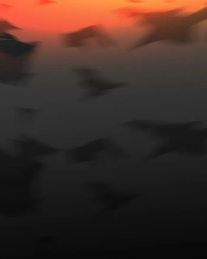 Page 46 of Chapter 70