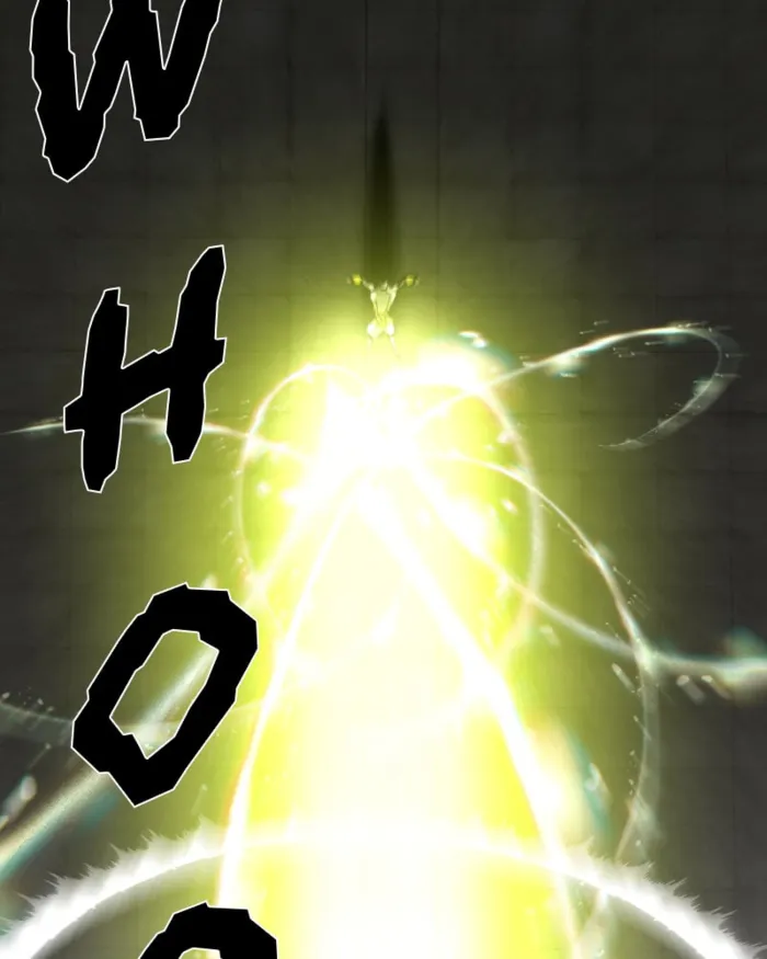 Page 250 of Chapter 74