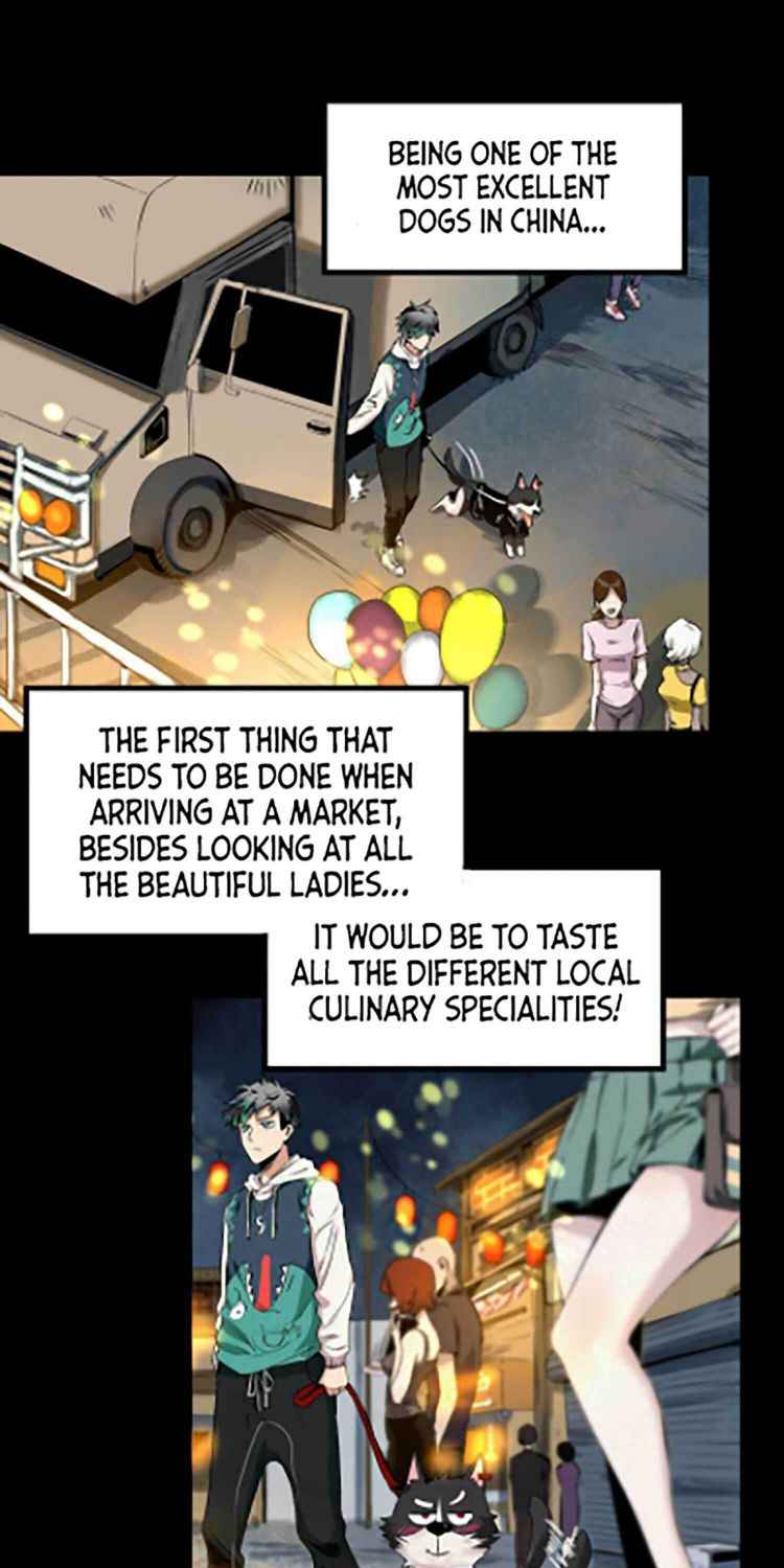 Page 15 of Chapter 1