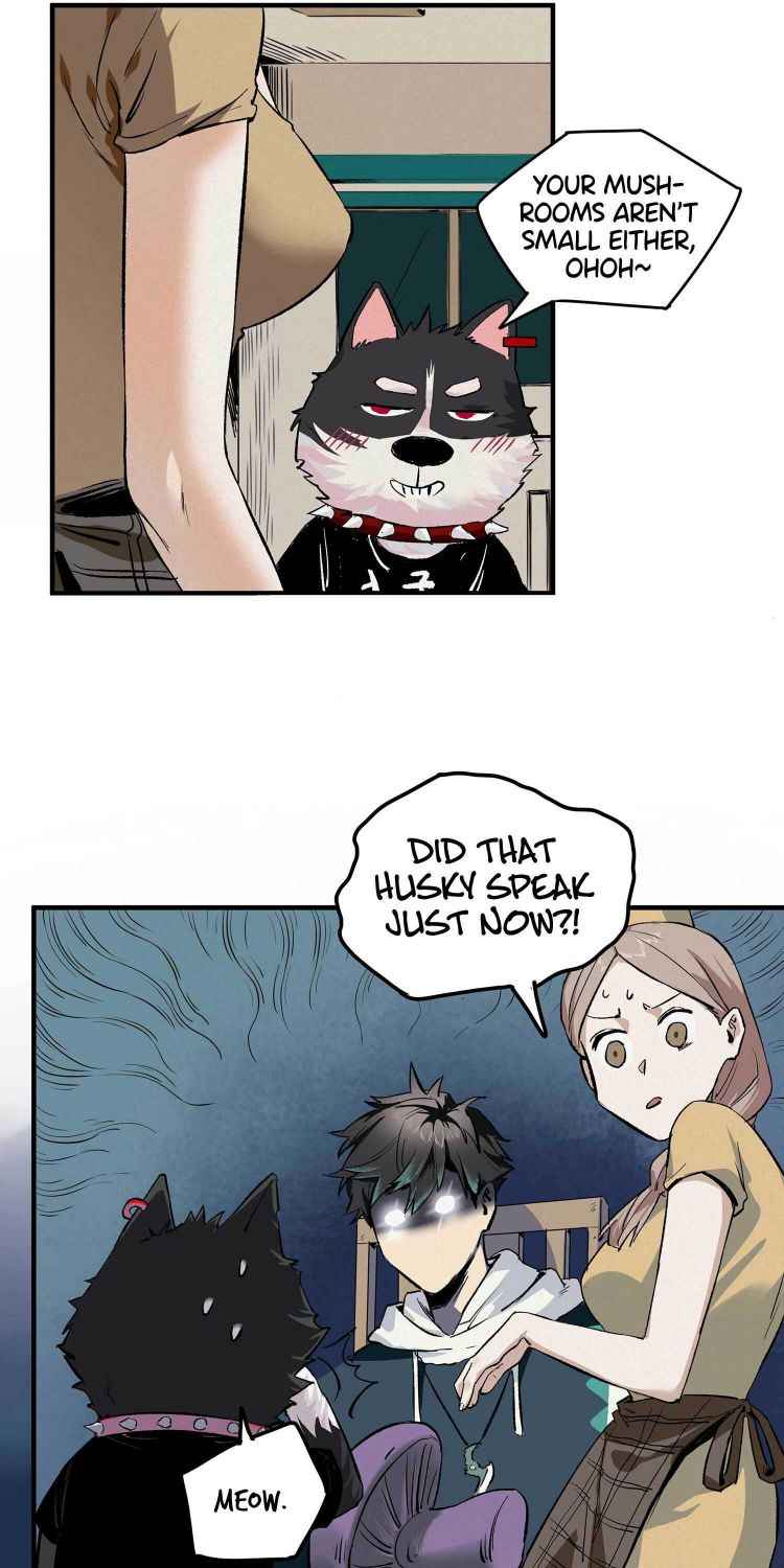 Page 72 of Chapter 1