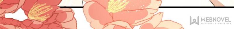 Page 34 of Chapter 19