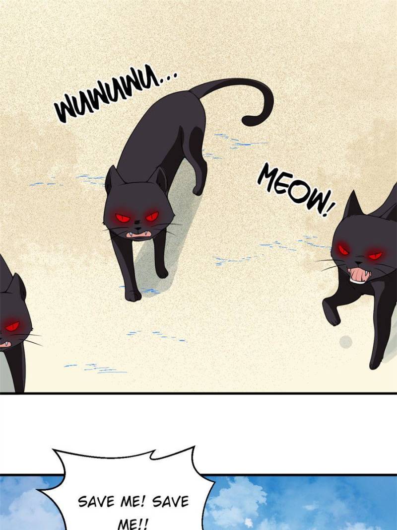 Page 27 of Chapter 38