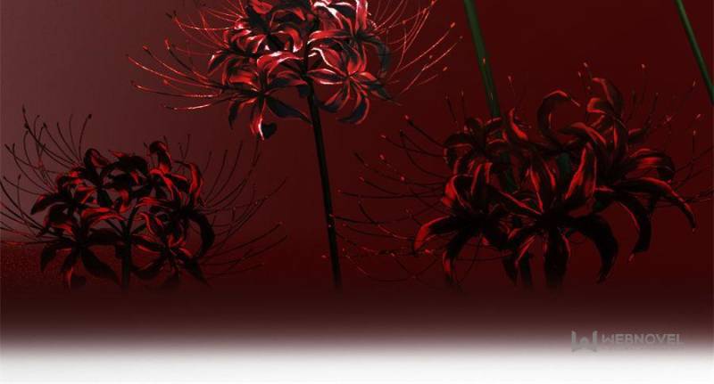 Page 41 of Chapter 55