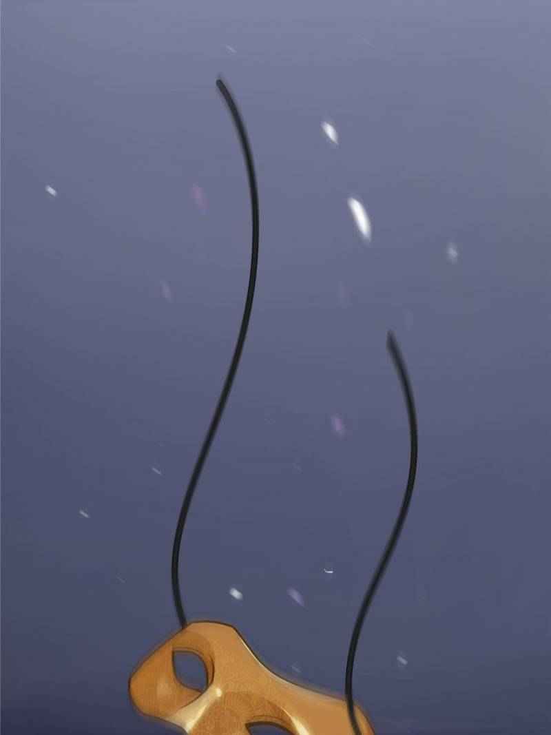 Page 29 of Chapter 5
