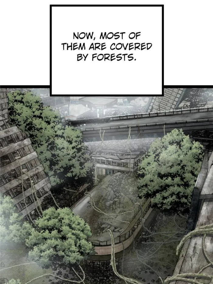 Page 66 of Chapter 33