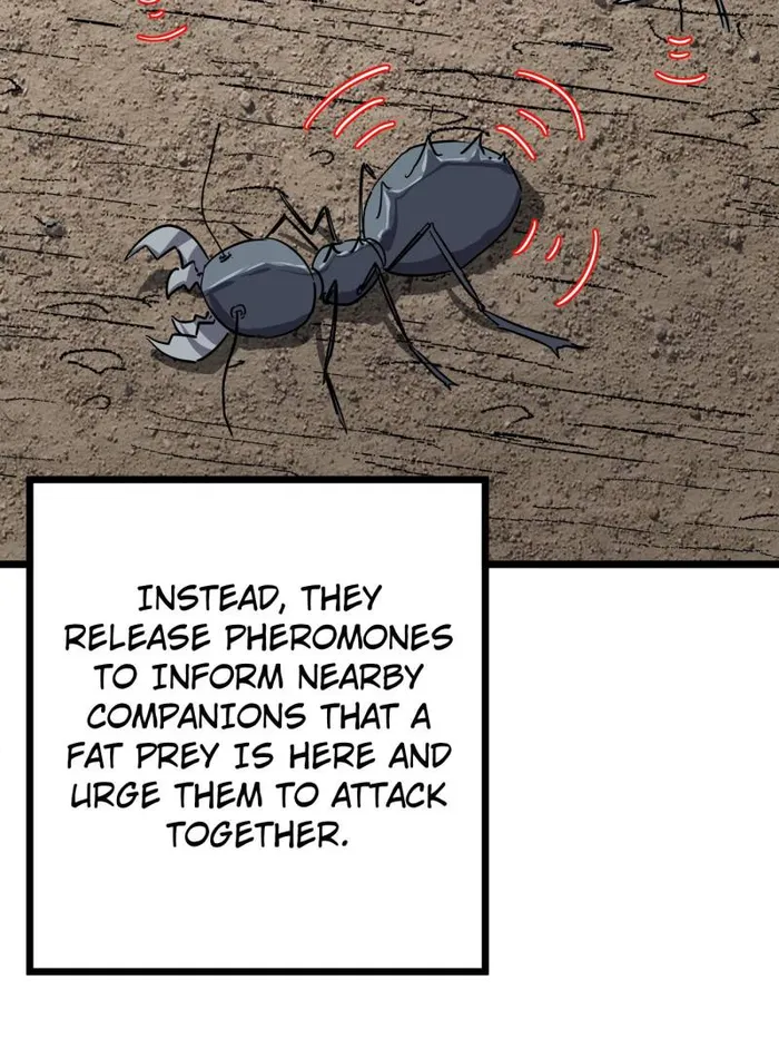 Page 26 of Chapter 77