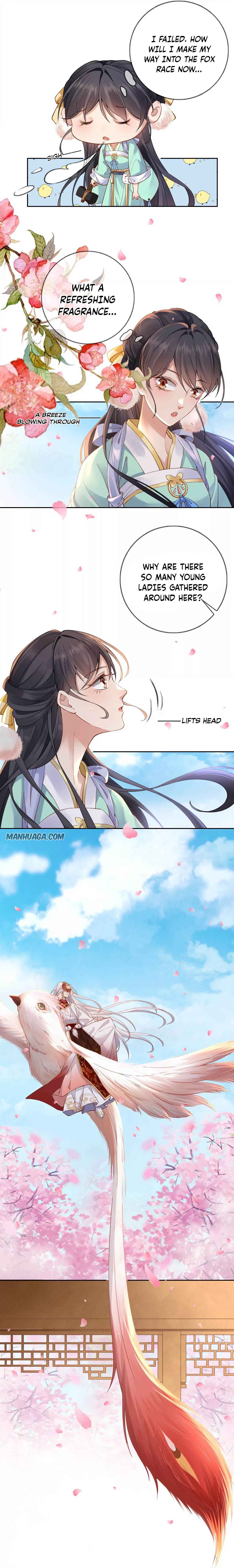 Page 15 of Chapter 1