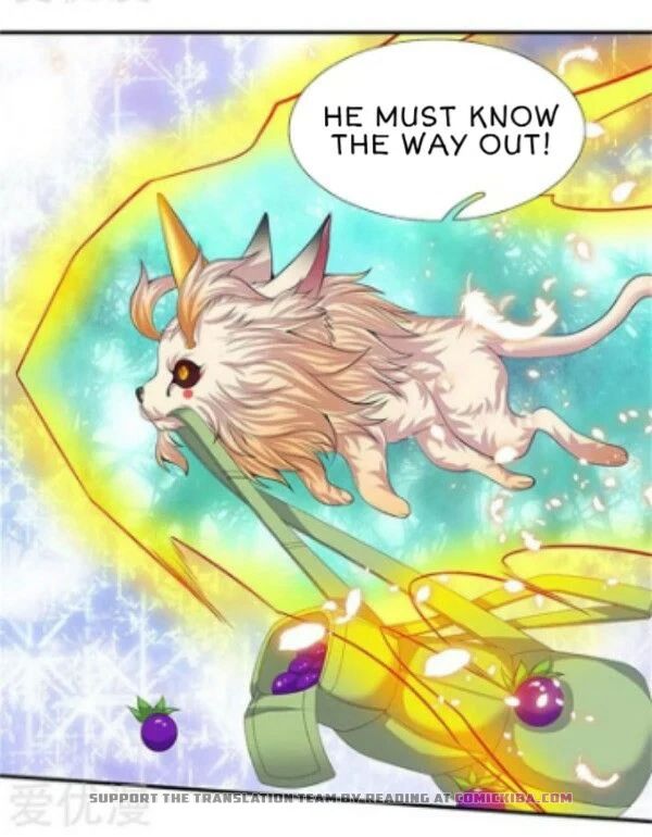 Page 13 of Chapter 81