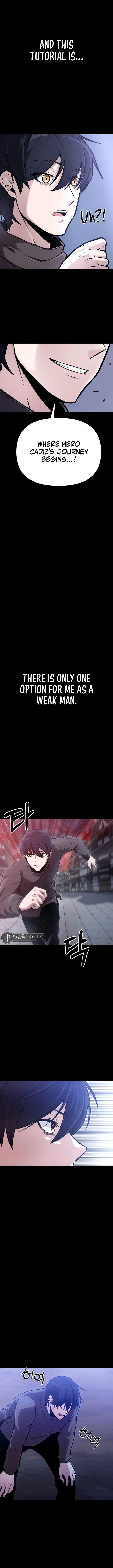 Page 15 of Chapter 1