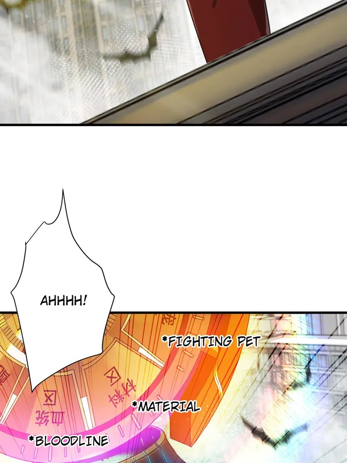 Page 2 of Chapter 204