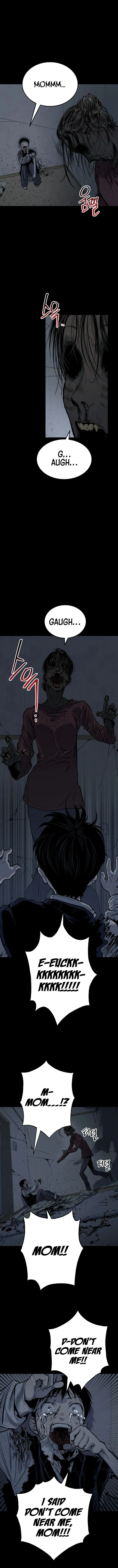 Page 17 of Chapter 11