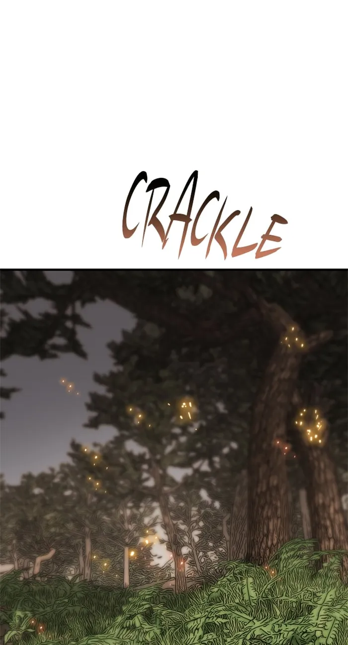 Page 1 of Chapter 95